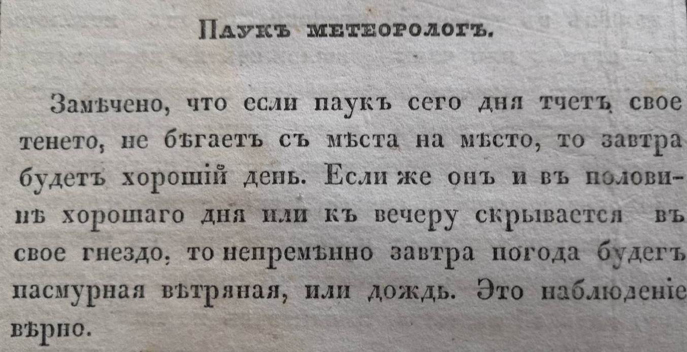 Народные приметы против прогнозов синоптиков | Научка33. Подкаст