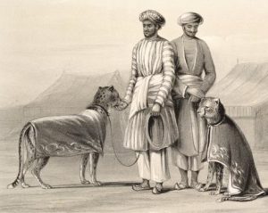 Пижама. Мужчины в белых пижамах с охотничьими гепардами. Индия, 1844
